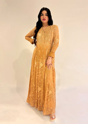 A woman wearing a brown ombre chiffon maxi dress with silk embroidery, in a standing pose against a neutral background.