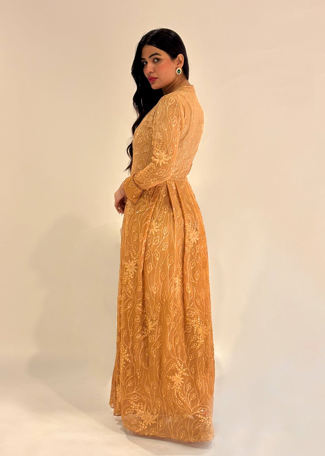 A woman wearing a brown ombre chiffon maxi dress with silk embroidery, in a standing pose against a neutral background.