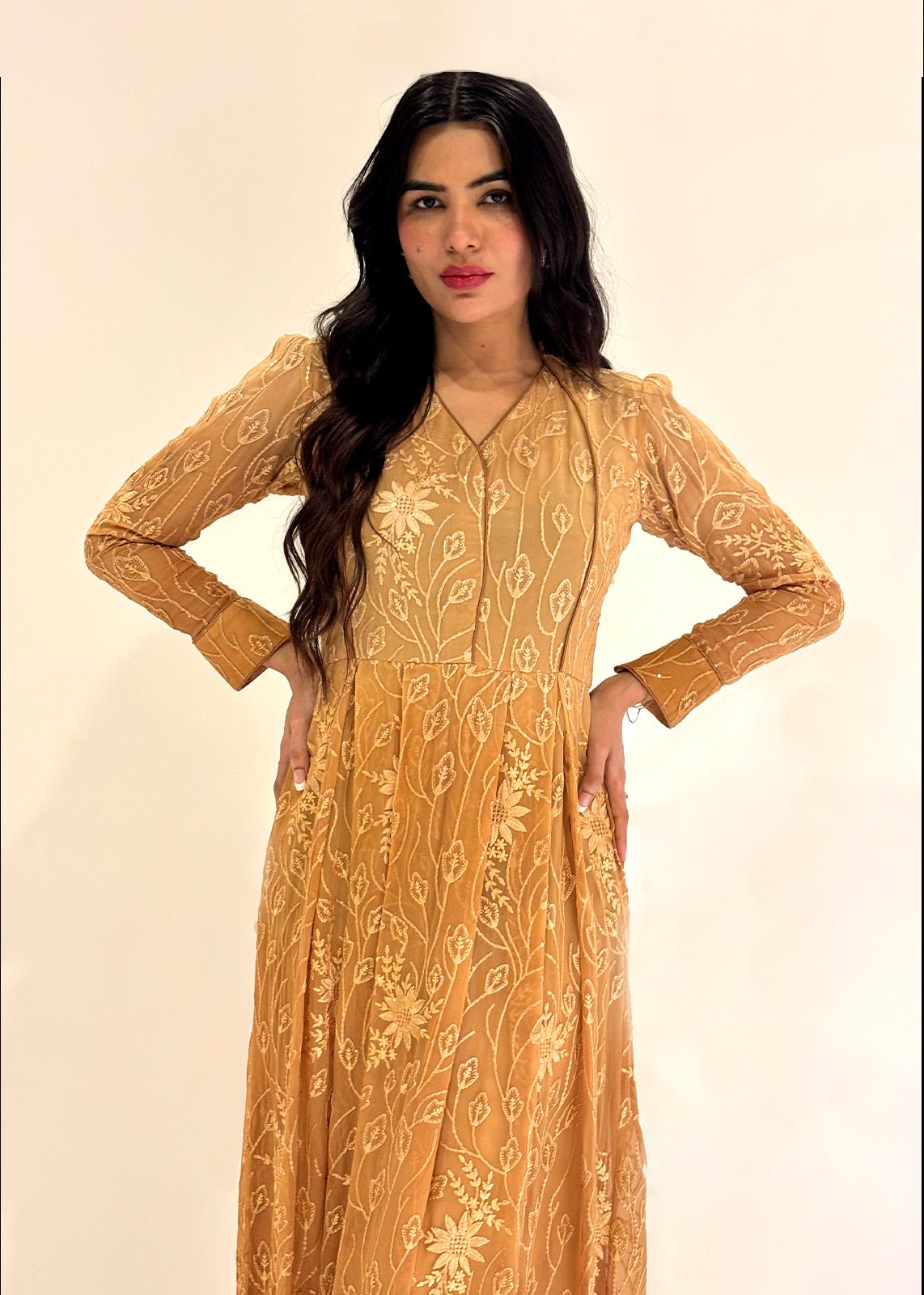A woman wearing a brown ombre chiffon maxi dress with silk embroidery, in a standing pose against a neutral background.