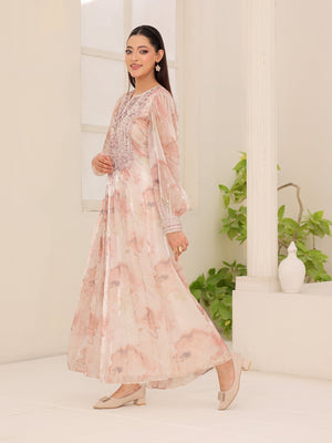 Rose Halo embroidered organza dress front view