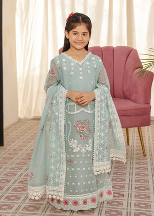 Embroidered Dress for Girls